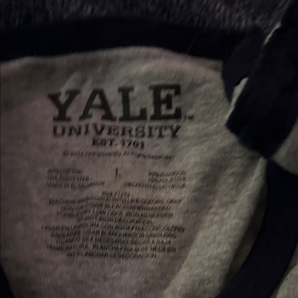 PacSun Gray Yale Graphic Ringer Tee with Navy Print - Picture 2 of 2